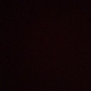 Meet your Posher, Noely